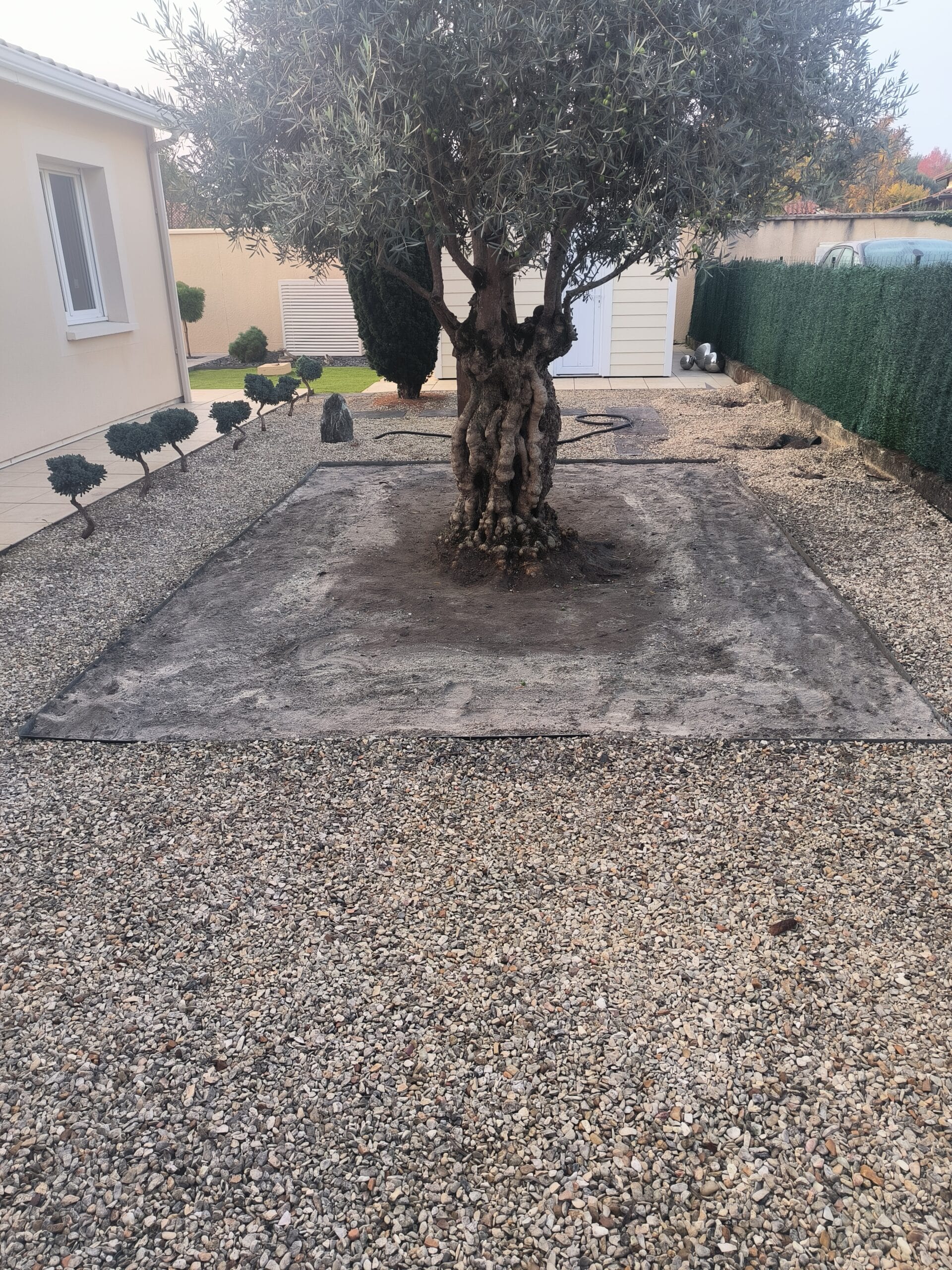 Tours d’arbre en résine drainante