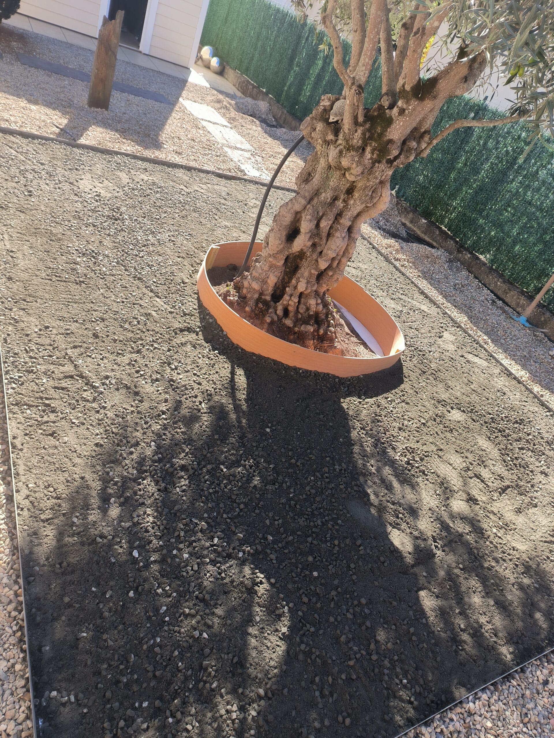 Tours d’arbre en résine drainante